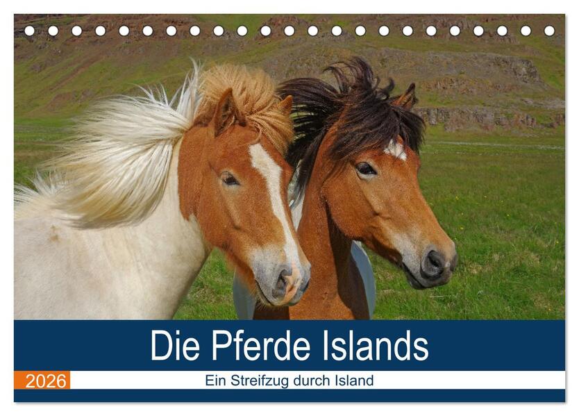 Die Pferde Islands - Ein Streifzug durch Island (Tischkalender 2026 DIN A5 quer) CALVENDO Monatskalender