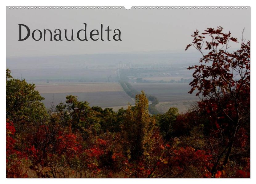 Donaudelta (Wandkalender 2026 DIN A2 quer) CALVENDO Monatskalender