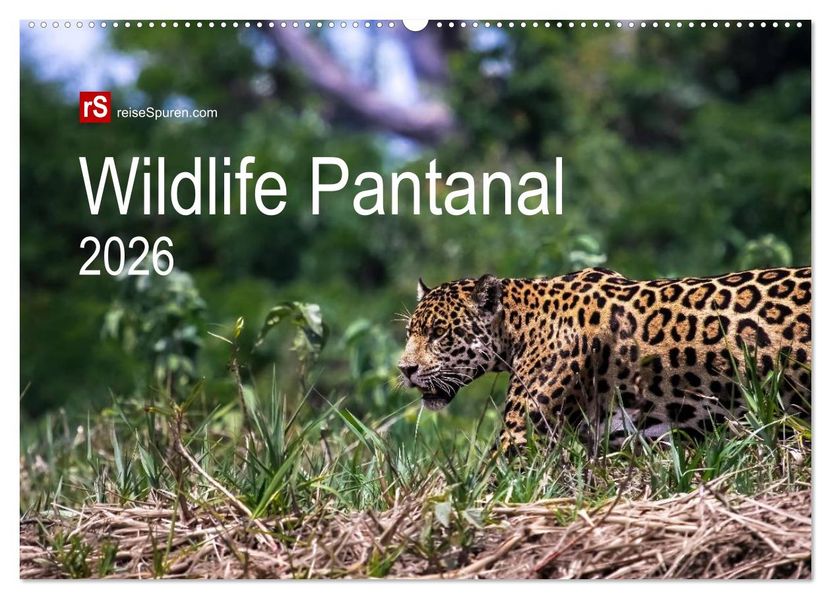 Wildlife Pantanal 2026 (Wandkalender 2026 DIN A2 quer) CALVENDO Monatskalender