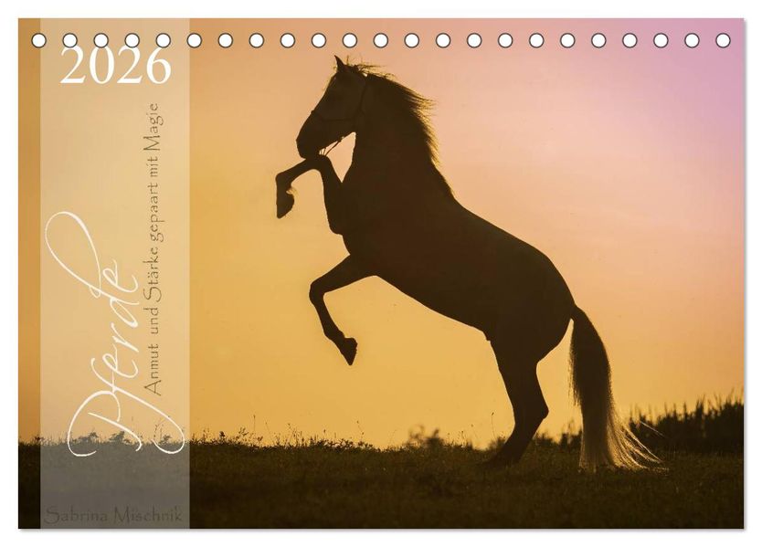 Pferde - Anmut und Stärke gepaart mit Magie (Tischkalender 2026 DIN A5 quer) CALVENDO Monatskalender