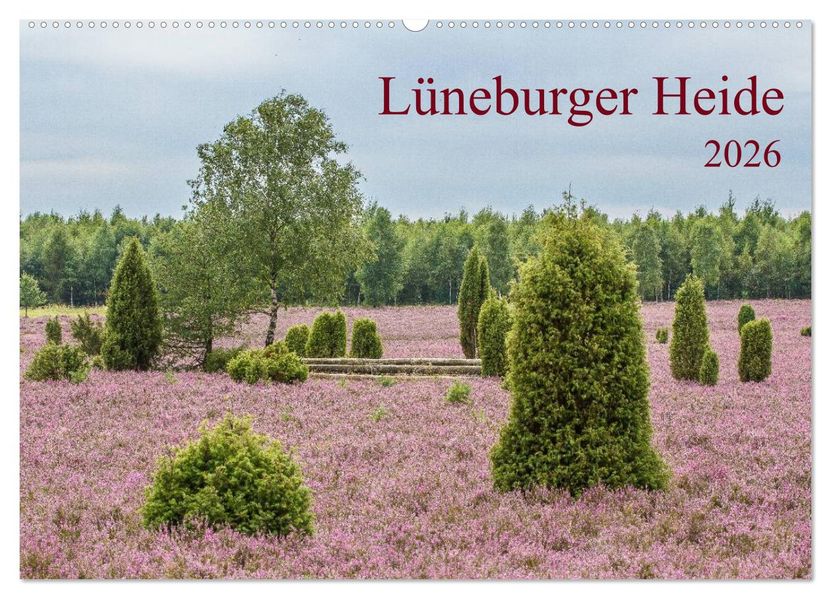 Lüneburger Heide (Wandkalender 2026 DIN A2 quer) CALVENDO Monatskalender