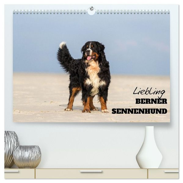 Liebling BERNER SENNENHUND (hochwertiger Premium Wandkalender 2026 DIN A2 quer) Kunstdruck in Hochglanz