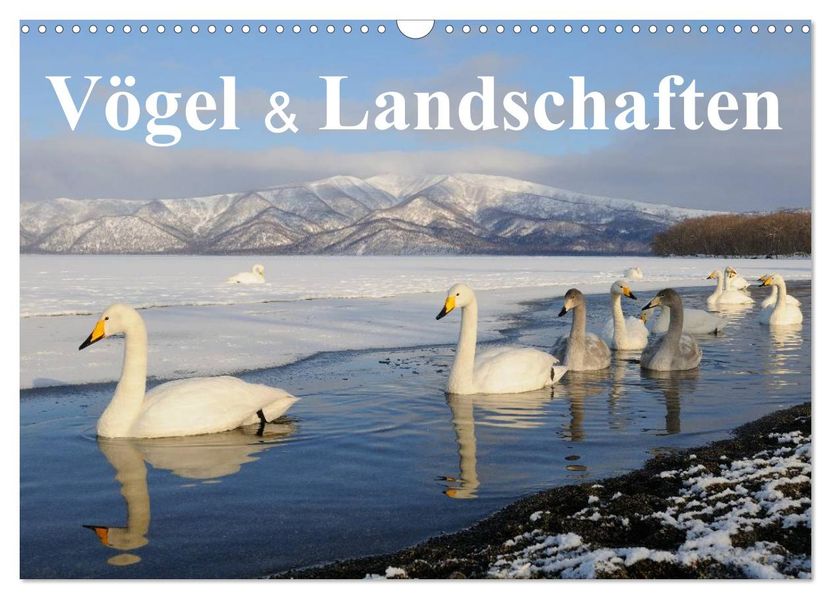 Vögel & Landschaften (Wandkalender 2026 DIN A3 quer) CALVENDO Monatskalender