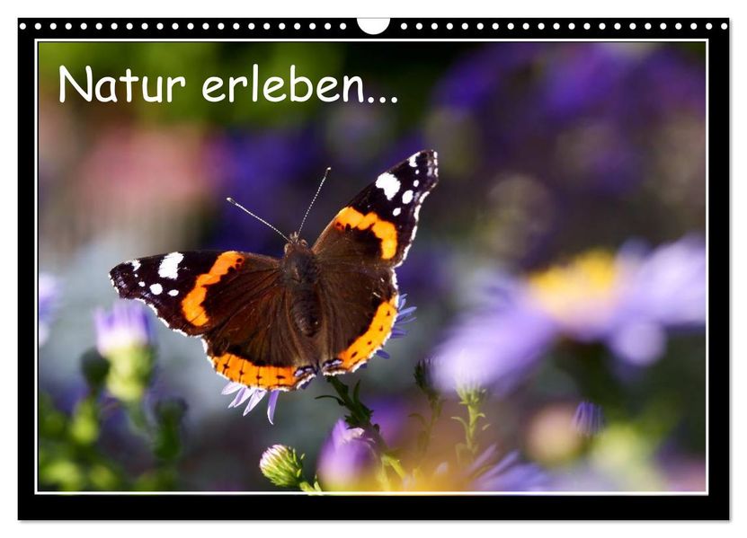 Natur erleben... (Wandkalender 2026 DIN A3 quer) CALVENDO Monatskalender