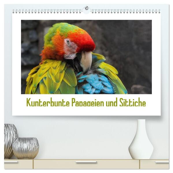 Kunterbunte Papageien und Sittiche (hochwertiger Premium Wandkalender 2026 DIN A2 quer) Kunstdruck in Hochglanz