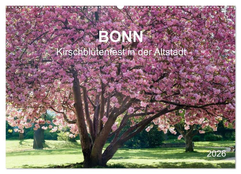 Bonn - Kirschblütenfest in der Altstadt (Wandkalender 2026 DIN A2 quer) CALVENDO Monatskalender