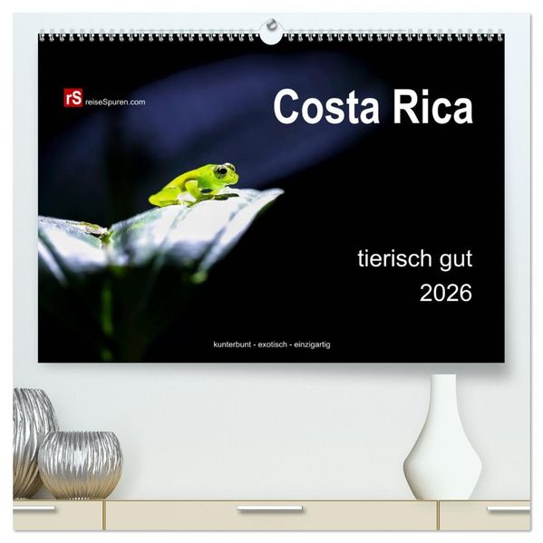 Costa Rica tierisch gut 2026 (hochwertiger Premium Wandkalender 2026 DIN A2 quer) Kunstdruck in Hochglanz