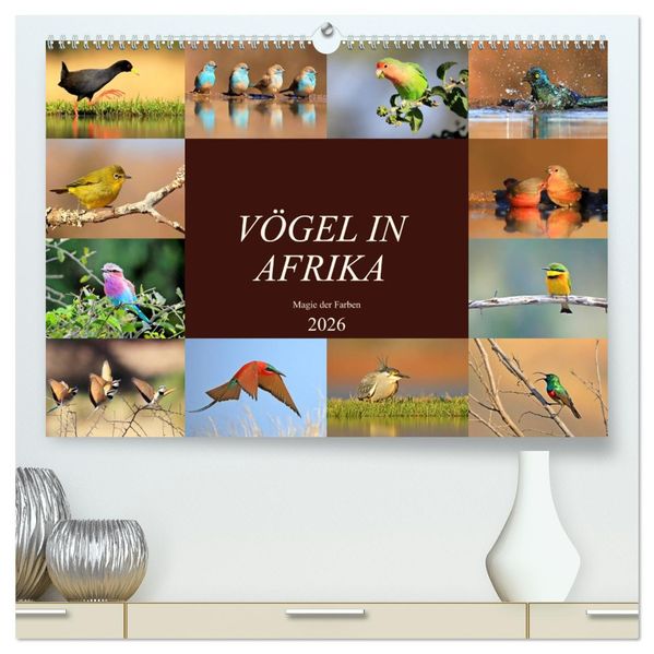 Vögel in Afrika - Magie der Farben (hochwertiger Premium Wandkalender 2026 DIN A2 quer) Kunstdruck in Hochglanz