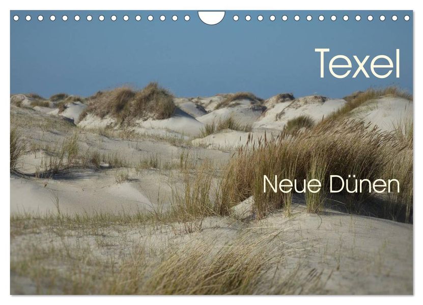 Texel. Neue Dünen (Wandkalender 2026 DIN A4 quer) CALVENDO Monatskalender
