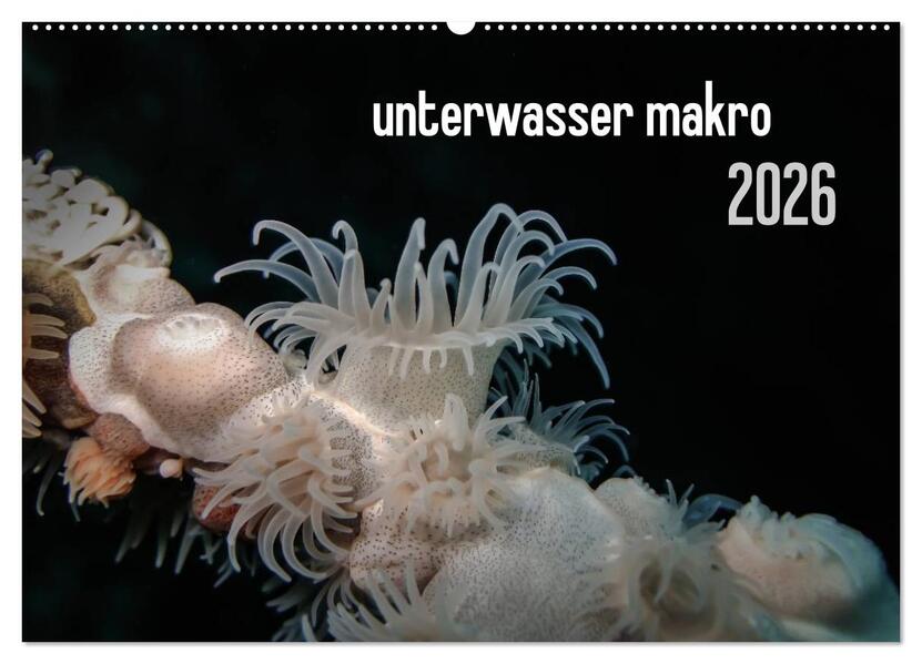 unterwasser makro 2026 (Wandkalender 2026 DIN A2 quer) CALVENDO Monatskalender