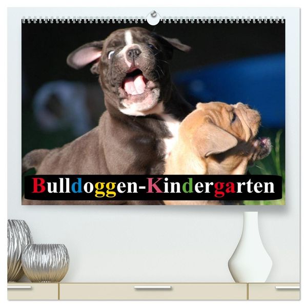 Bulldoggen-Kindergarten (hochwertiger Premium Wandkalender 2026 DIN A2 quer) Kunstdruck in Hochglanz