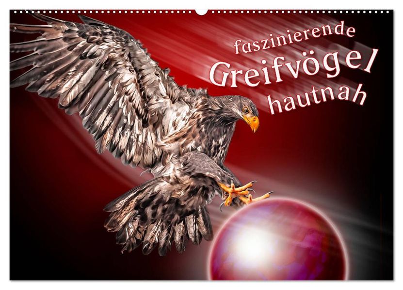 Faszinierende Greifvögel hautnah (Wandkalender 2026 DIN A2 quer) CALVENDO Monatskalender