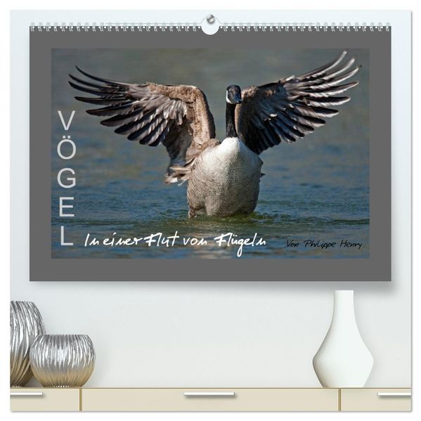 VÖGEL (hochwertiger Premium Wandkalender 2026 DIN A2 quer) Kunstdruck in Hochglanz