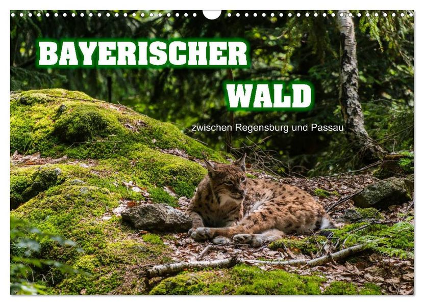 Bayerischer Wald (Wandkalender 2026 DIN A3 quer) CALVENDO Monatskalender
