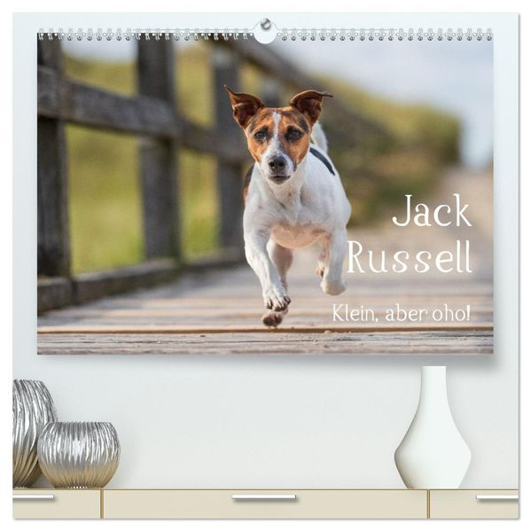 Jack Russell - Klein aber oho! (hochwertiger Premium Wandkalender 2026 DIN A2 quer) Kunstdruck in Hochglanz