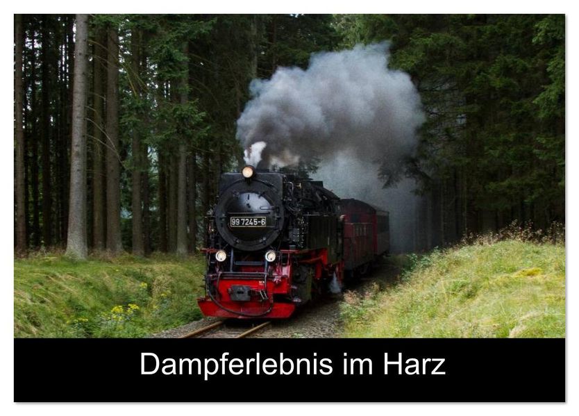 Dampferlebnis im Harz (Tischkalender 2026 DIN A5 quer) CALVENDO Monatskalender