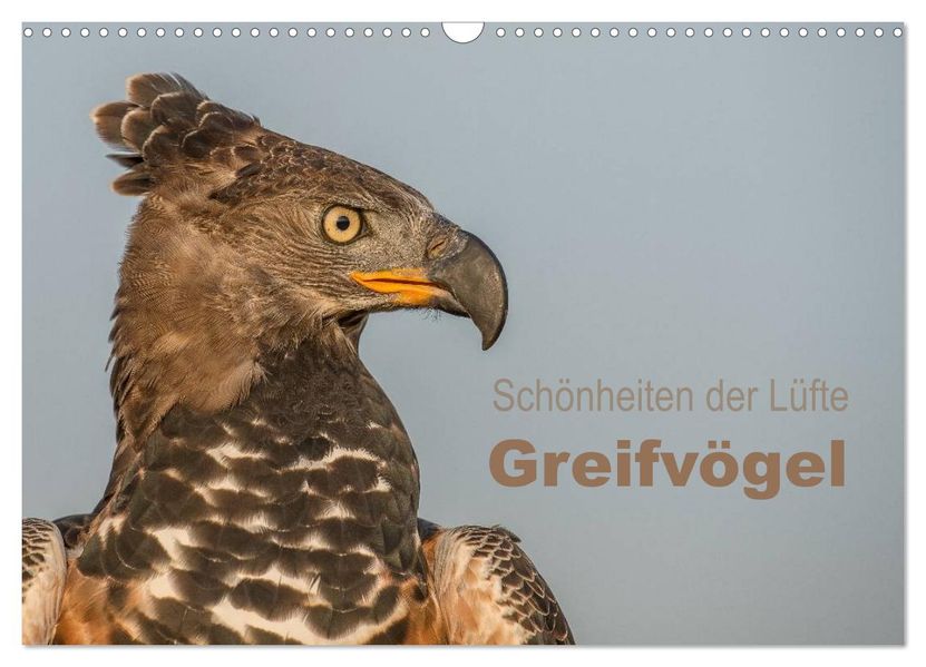 Schönheiten der Lüfte - Greifvögel (Wandkalender 2026 DIN A3 quer) CALVENDO Monatskalender