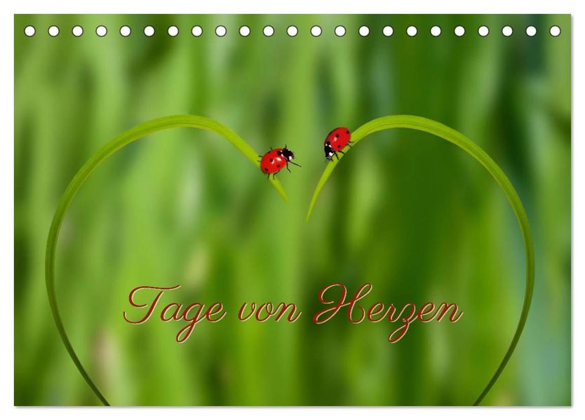 Tage von Herzen (Tischkalender 2026 DIN A5 quer) CALVENDO Monatskalender