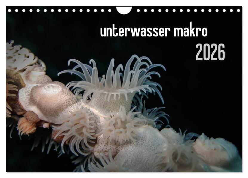 unterwasser makro 2026 (Wandkalender 2026 DIN A4 quer) CALVENDO Monatskalender