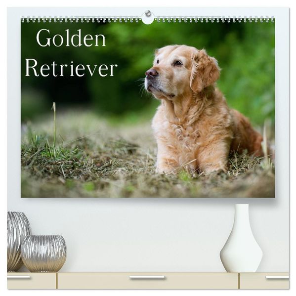 Golden Retriever (hochwertiger Premium Wandkalender 2026 DIN A2 quer) Kunstdruck in Hochglanz