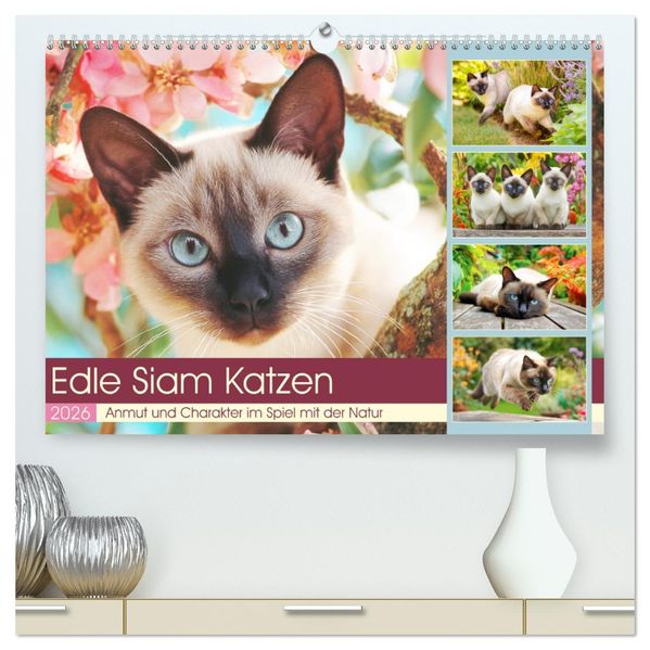 Edle Siamkatzen. Anmut und Charakter im Spiel mit der Natur (hochwertiger Premium Wandkalender 2026 DIN A2 quer) Kunstdruck in Hochglanz