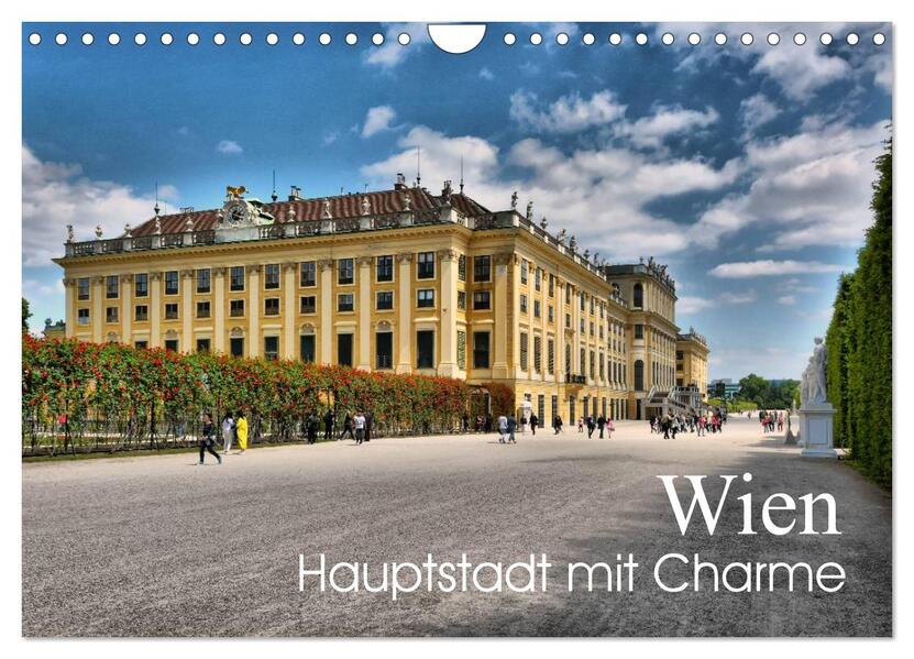 Wien - Haupstadt mit Charme (Wandkalender 2026 DIN A4 quer) CALVENDO Monatskalender