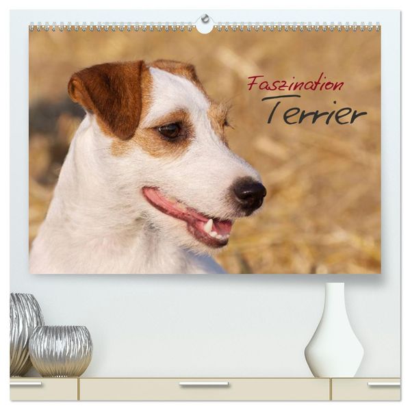 Faszination Terrier (hochwertiger Premium Wandkalender 2026 DIN A2 quer) Kunstdruck in Hochglanz