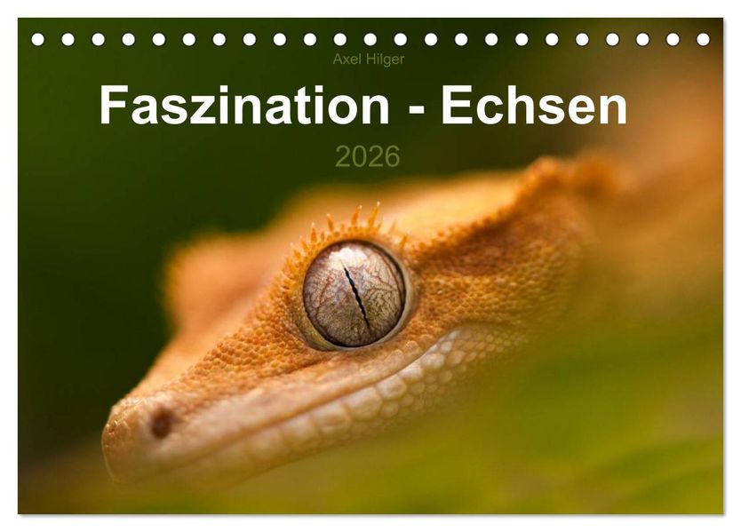 Faszination - Echsen (Tischkalender 2026 DIN A5 quer) CALVENDO Monatskalender