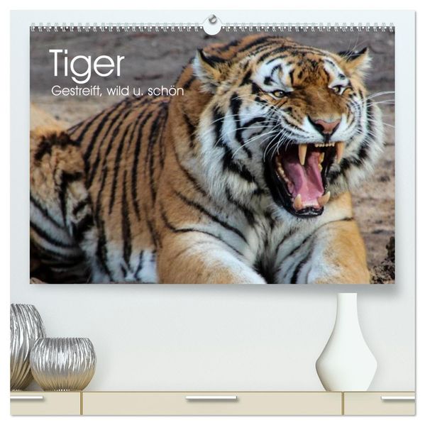 Tiger. Gestreift wild u. schön (hochwertiger Premium Wandkalender 2026 DIN A2 quer) Kunstdruck in Hochglanz