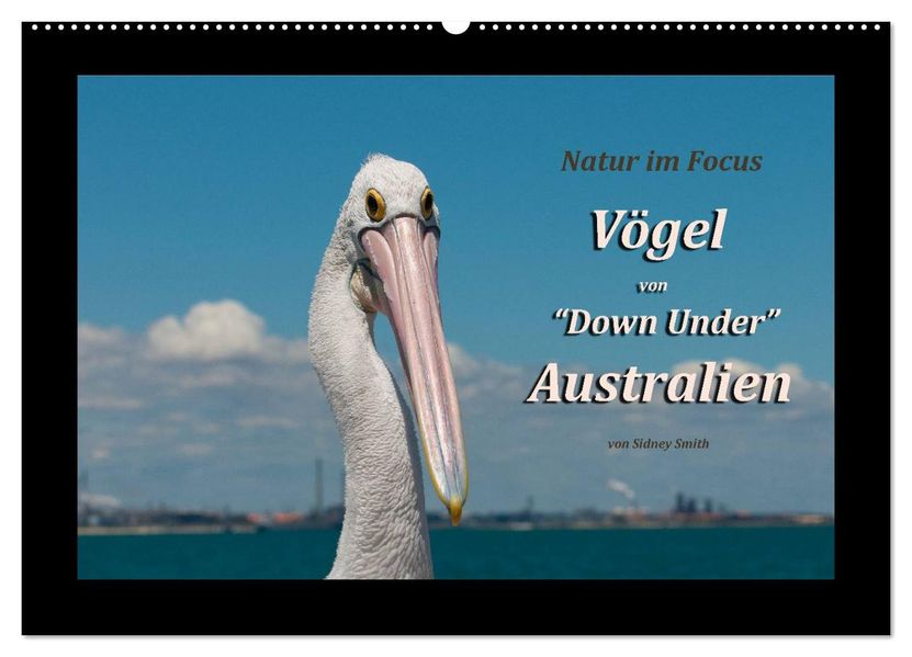 Vögel von 'Down Under' Australien (Wandkalender 2026 DIN A2 quer) CALVENDO Monatskalender