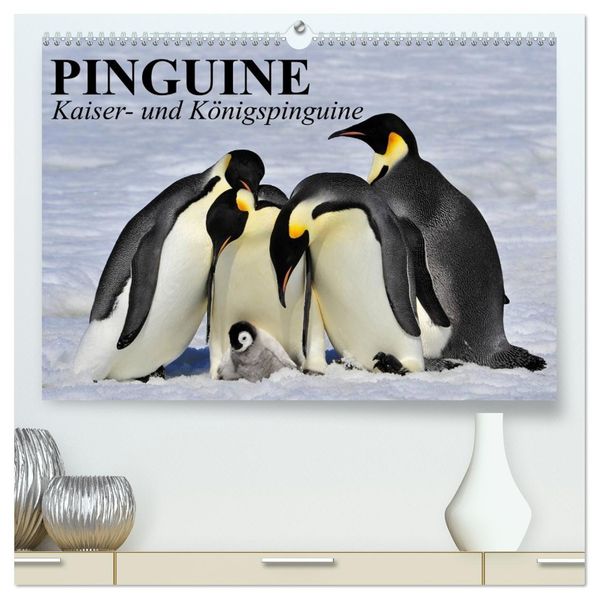 Pinguine - Kaiser- und Königspinguine (hochwertiger Premium Wandkalender 2026 DIN A2 quer) Kunstdruck in Hochglanz