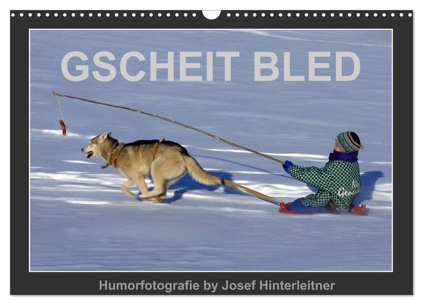 GSCHEIT BLED - Humorfotografie (Wandkalender 2026 DIN A3 quer) CALVENDO Monatskalender