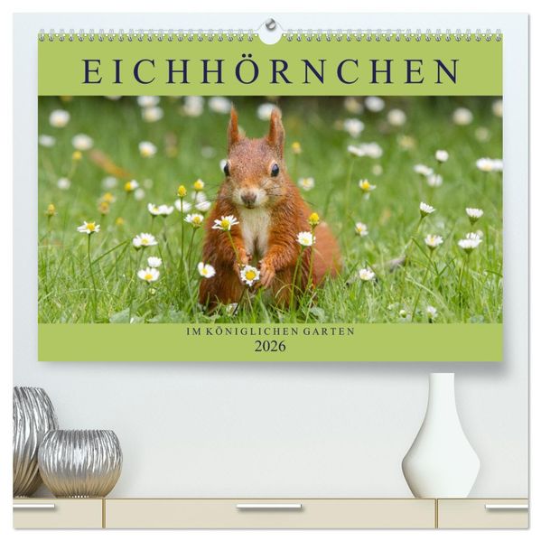 Eichhörnchen im Königlichen Garten (hochwertiger Premium Wandkalender 2026 DIN A2 quer) Kunstdruck in Hochglanz
