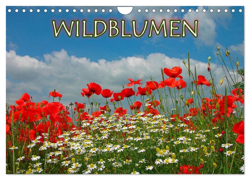 Wildblumen 2026 (Wandkalender 2026 DIN A4 quer) CALVENDO Monatskalender