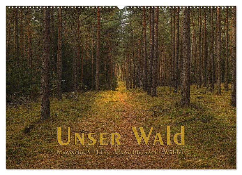 Unser Wald - Magische Sichten in norddeutsche Wälder (Wandkalender 2026 DIN A2 quer) CALVENDO Monatskalender