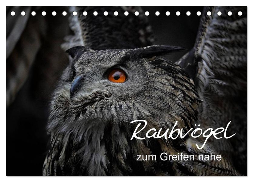 Raubvögel zum Greifen nahe (Tischkalender 2026 DIN A5 quer) CALVENDO Monatskalender