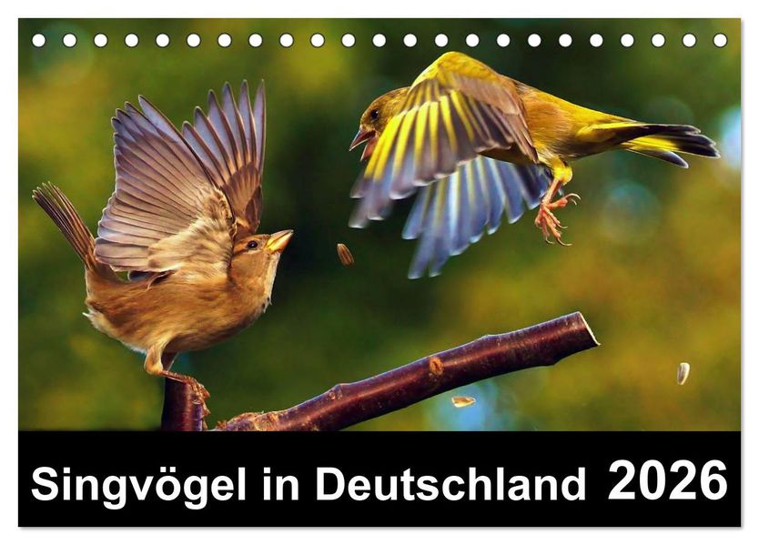 Singvögel in Deutschland (Tischkalender 2026 DIN A5 quer) CALVENDO Monatskalender