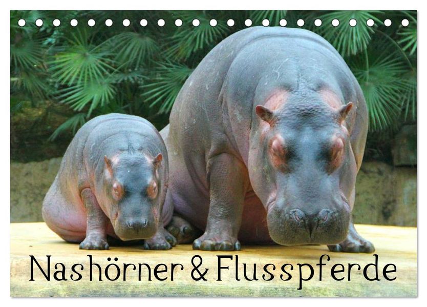 Nashörner & Flusspferde (Tischkalender 2026 DIN A5 quer) CALVENDO Monatskalender