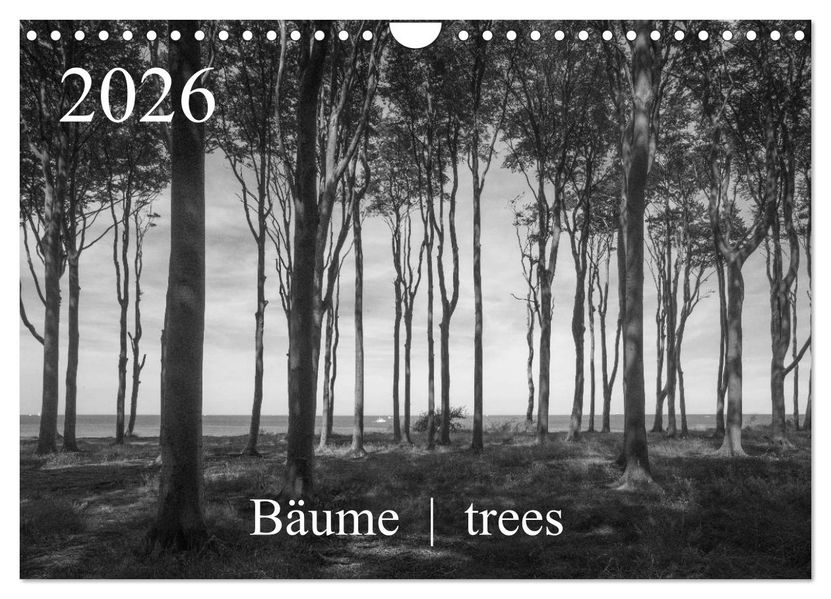 Bäume trees 2026 (Wandkalender 2026 DIN A4 quer) CALVENDO Monatskalender