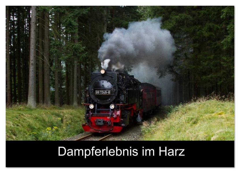 Dampferlebnis im Harz (Wandkalender 2026 DIN A4 quer) CALVENDO Monatskalender