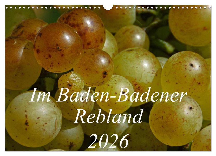 Im Baden-Badener Rebland 2026 (Wandkalender 2026 DIN A3 quer) CALVENDO Monatskalender