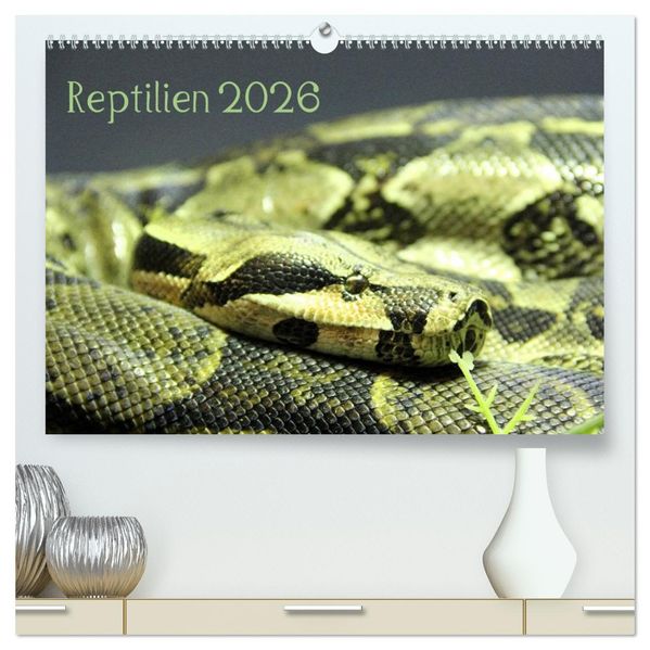 Reptilien 2026 (hochwertiger Premium Wandkalender 2026 DIN A2 quer) Kunstdruck in Hochglanz