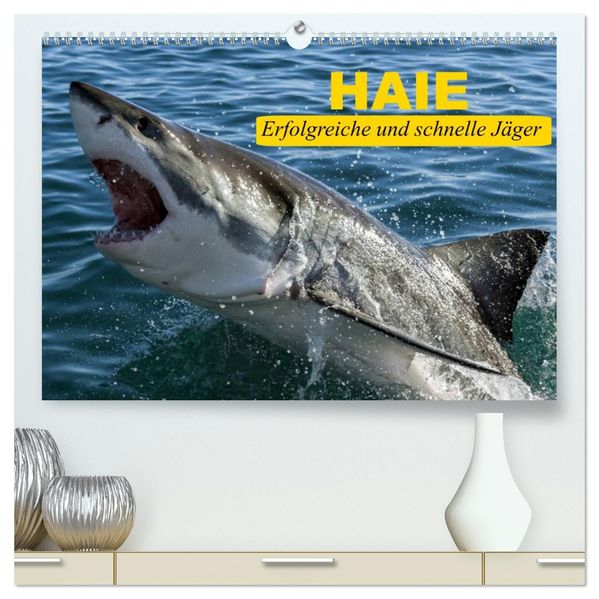 Haie. Erfolgreiche und schnelle Jäger (hochwertiger Premium Wandkalender 2026 DIN A2 quer) Kunstdruck in Hochglanz