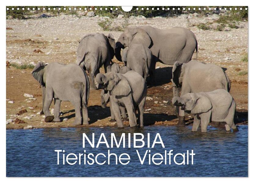 Namibia - Tierische Vielfalt (Wandkalender 2026 DIN A3 quer) CALVENDO Monatskalender