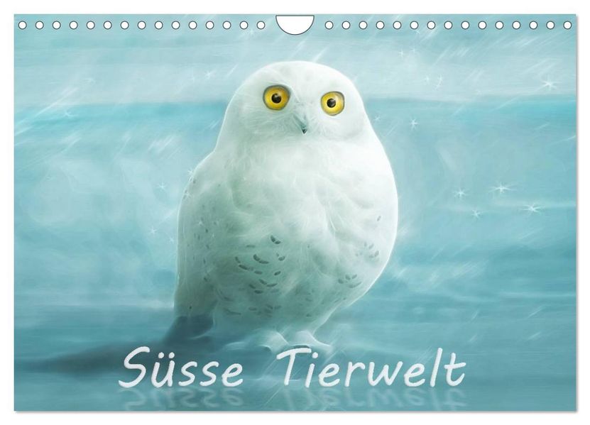 Süsse Tierwelt / CH-Version / Geburtstagskalender (Wandkalender 2026 DIN A4 quer) CALVENDO Monatskalender