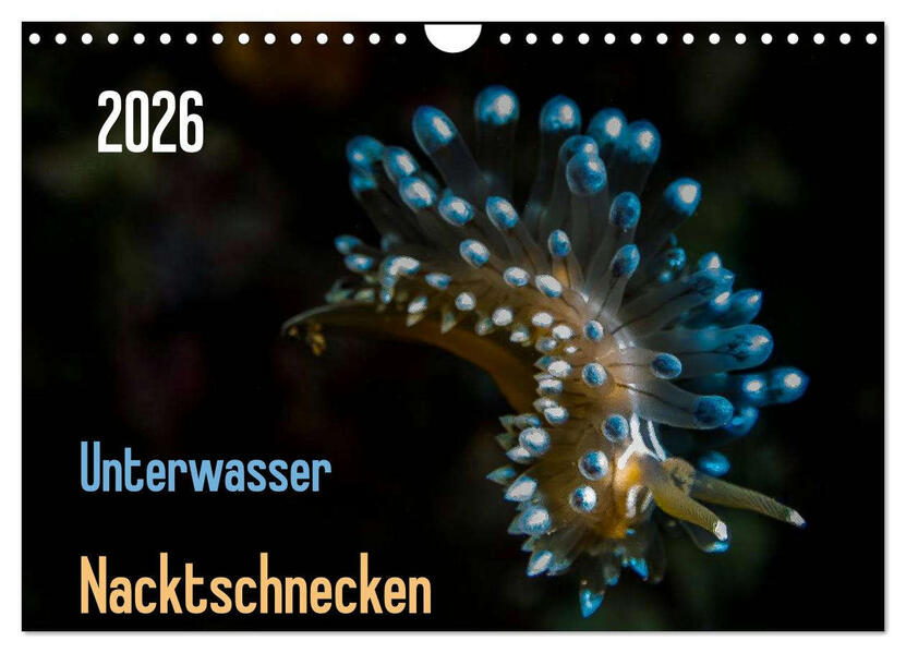 Unterwasser - Nacktschnecken 2026 (Wandkalender 2026 DIN A4 quer) CALVENDO Monatskalender