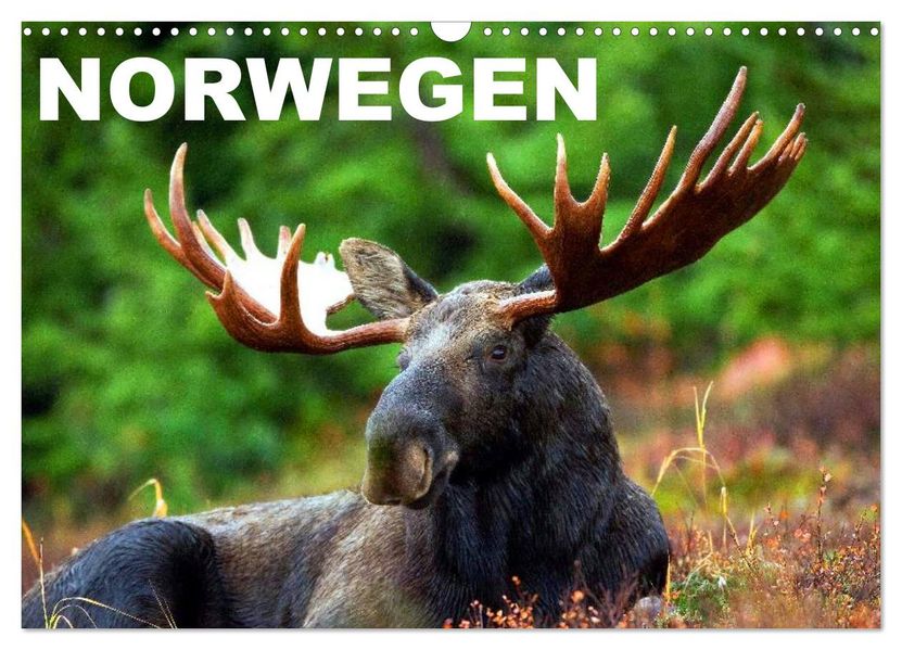 Norwegen (Wandkalender 2026 DIN A3 quer) CALVENDO Monatskalender