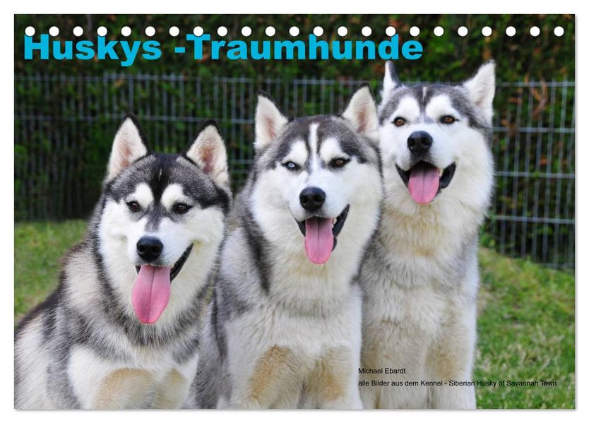 Huskys - Traumhunde (Tischkalender 2026 DIN A5 quer) CALVENDO Monatskalender