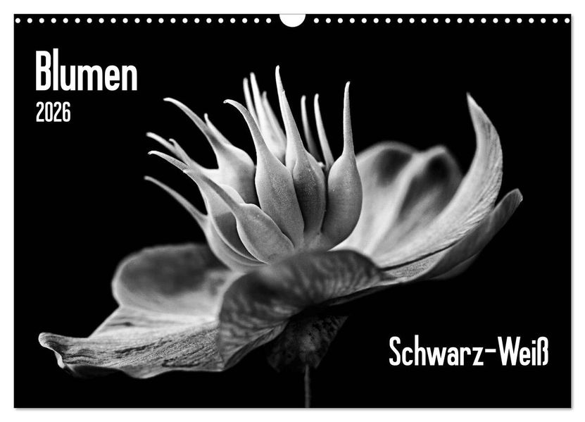 Blumen 2026 Schwarz-Weiß (Wandkalender 2026 DIN A3 quer) CALVENDO Monatskalender