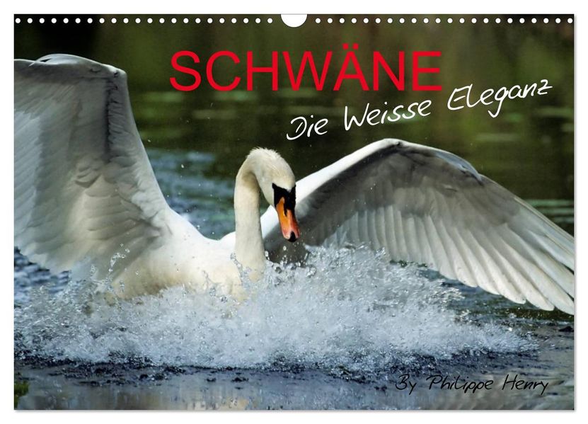 SCHWÄNE. (Wandkalender 2026 DIN A3 quer) CALVENDO Monatskalender